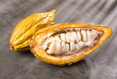 Kakao meyve - Theobroma kakao. Üstten Görünüm