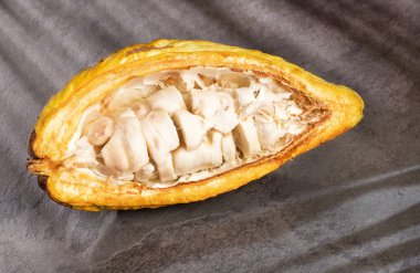 Kakao meyve - Theobroma kakao. Üstten Görünüm