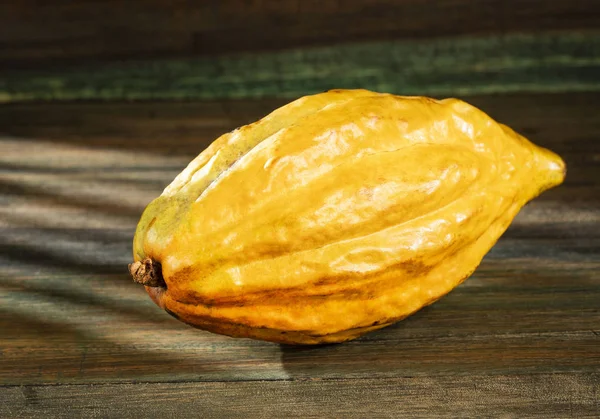 Kakao Frukt Theobroma Cacao Ovanifrån — Stockfoto