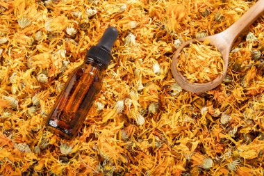 Kadife çiçekli Aromaterapi gerekli yağ - Calendula officinalis.