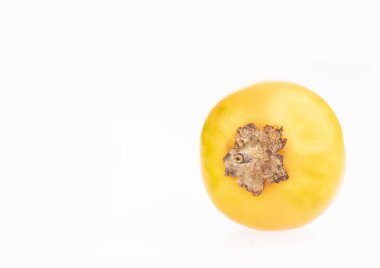 Lulo lezzetli tropikal meyve - Solanum quitoense