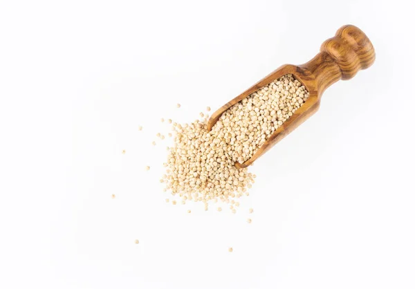 Bílá Quinoa semena - Chenopodium quinoa — Stock fotografie