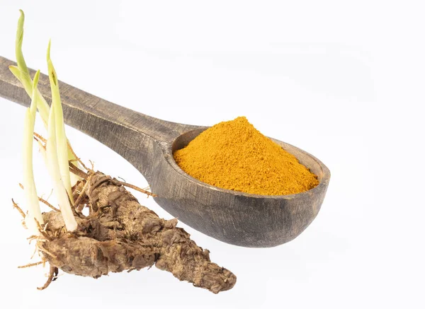 Roots and turmeric powder - Curcuma longa. White background — Stock Photo, Image