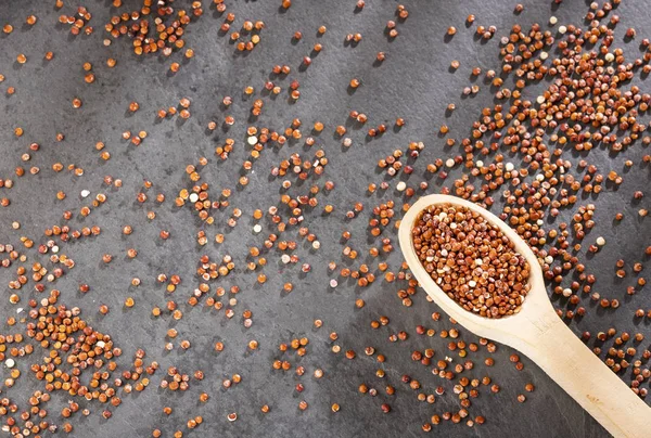 Czerwone nasiona organiczne quinoa-Chenopodium quinoa. Widok z góry — Zdjęcie stockowe