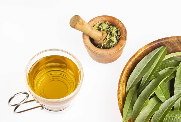 Tea with lemon verbena - Aloysia citrodora. White background