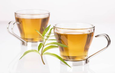 Limon Verbena ile çay-Aloysia citrodora. Beyaz arka plan