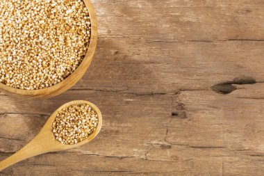 Solmayan çiçek tahıl - Amaranthus attı. Metin alanı