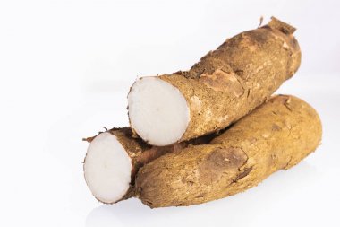 Manihot esculenta (kassava, yuca, manioc, mandioca, Brezilya ok kökü)