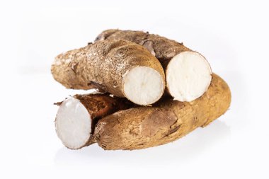 Manihot esculenta (kassava, yuca, manioc, mandioca, Brezilya ok kökü)