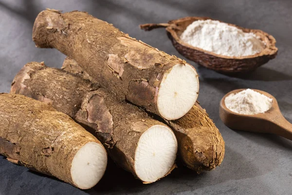 Almidón crudo de yuca - Manihot esculenta. Espacio de texto — Foto de Stock