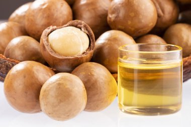 Fındık ve macadamia yağı - Macadamia integrifolia. Beyaz arka plan