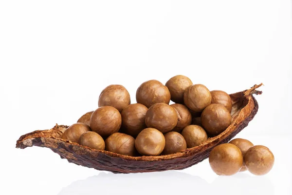 Organic macadamia nuts - Macadamia integrifolia. White background — Stock Photo, Image