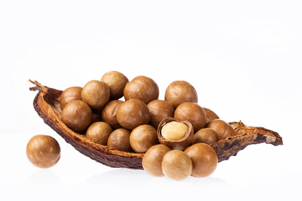 Organic macadamia nuts - Macadamia integrifolia. White background — Stock Photo, Image