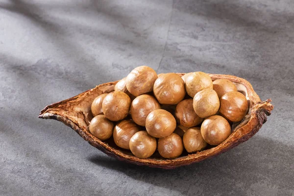 Organic macadamia nuts - Macadamia integrifolia. Text space — Stock Photo, Image