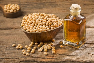 Glycine max - High protein soy. Text space
