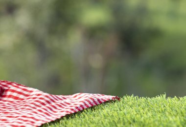 Yeşil çimenlerin üzerinde kırmızı damalı peçete. Tasarım için arka plan - Metin alanı