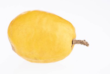 Spondias purpurea - erik, jobo, xocote, erik, huesito, jocote, cocota