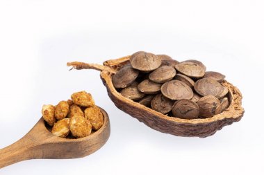 Sacha meyve kurutulmuş tohumlar - Inchi fıstık - Plukenetia volubilis. Beyaz arka plan