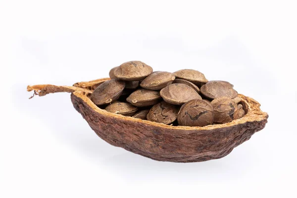 Dried seeds of sacha fruit - Inchi peanuts - Plukenetia volubilis. White background — Stock Photo, Image