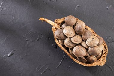 Plukenetia volubilis - Kurutulmuş sacha meyve tohumları. Inchi fıstık. Beyaz arka plan