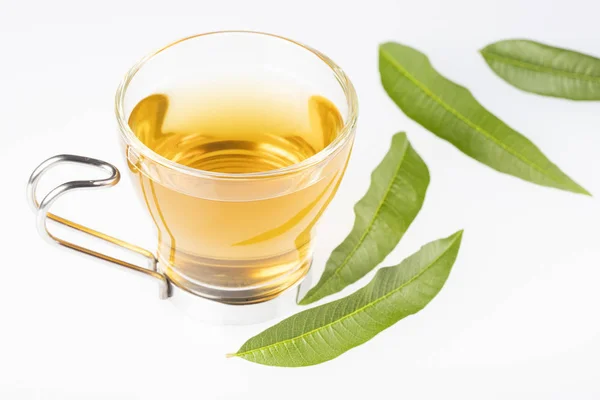 Чай с лимонной вербеной - Aloysia citrodora . — стоковое фото