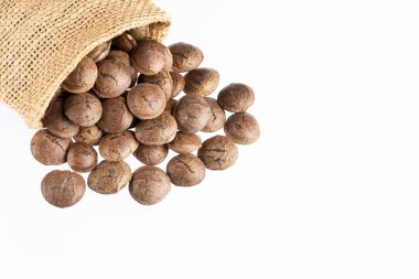 Sacha inchi - Plukenetia volubilis. Beyaz arka plan