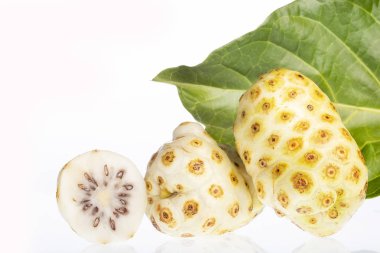 Büyük Morinda Meyvesi (Noni) veya Morinda Kalesi
