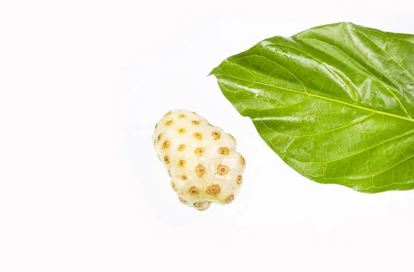 Morinda citrifolia-Noni Fruit. Tekstruimte — Stockfoto