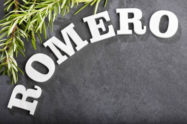 Rosmarinus officinalis - Organik taze biberiye. Metin alanı