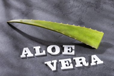 aloe vera yaprağı - Metin alanı