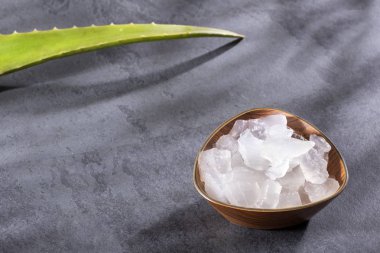 Taze aloe vera yaprakları, bu bitki vitamin, mineral ve protein açısından zengindir..