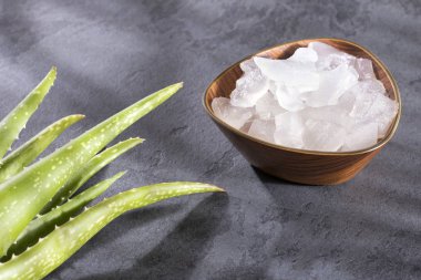 Taze aloe vera yaprakları, bu bitki vitamin, mineral ve protein açısından zengindir..