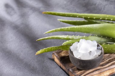 aloe vera yaprağı - Metin alanı