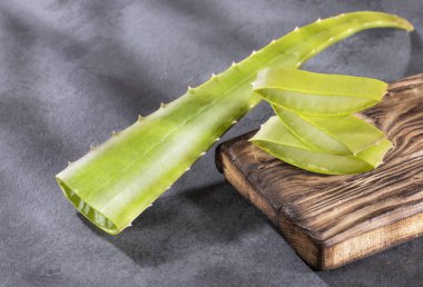 aloe vera yaprağı - Metin alanı