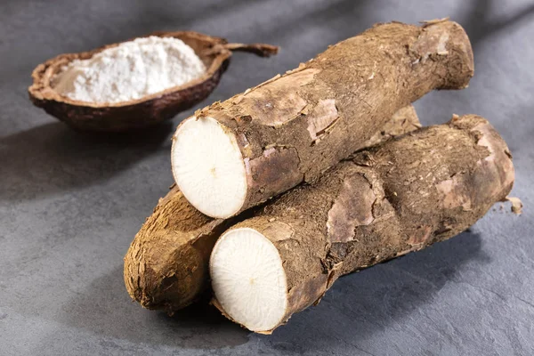 Amidon de manioc brut - Manihot esculenta — Photo