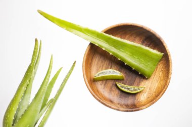 Dilimlenmiş taze yeşil Aloe vera - Metin alanı