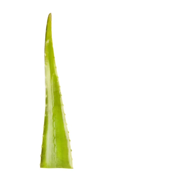 Ekologisk, grön och fräsch Aloe Vera med skivor — Stockfoto