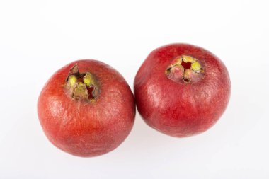 Psidium cattleianum - Cattley guava. Beyaz arka plan