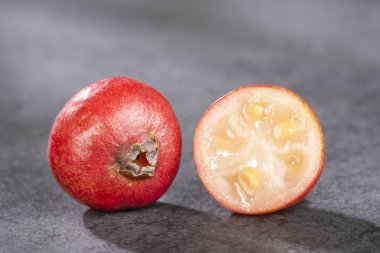 Psidium cattleianum - Cattley guava. Üstte görüntü