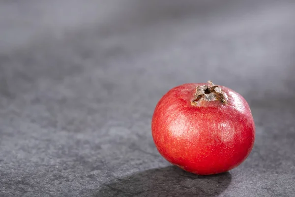 Psidium cattleianum-Cattley guava. Pohled shora — Stock fotografie