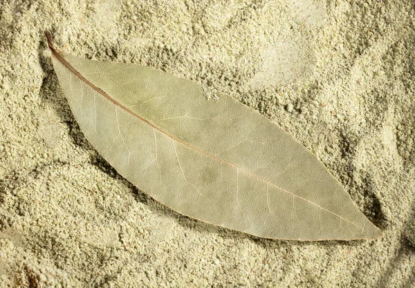 Dried bay leaves and laurel powder - Laurus nobilis. Text space — Stock Photo, Image