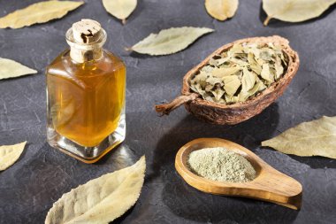 Organik defne yağı - Laurus nobilis