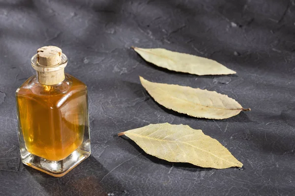 Aceite esencial de laurel natural de laurel Laurus nobilis. Espacio de texto — Foto de Stock