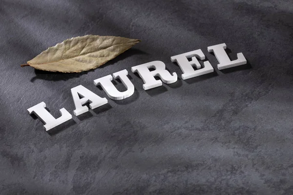 Laurus nobilis - Feuille de laurier sèche. Espace texte — Photo