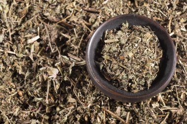 Phyllanthus niruri - taş chanca. böbrek taşlarını ortadan kaldırmak ve hipertansiyon mücadele