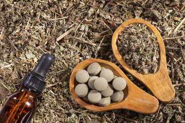Phyllanthus niruri - taş chanca. böbrek taşlarını ortadan kaldırmak ve hipertansiyon mücadele