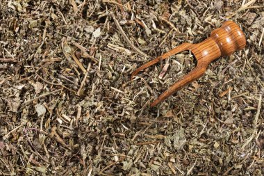 Phyllanthus niruri - taş chanca. böbrek taşlarını ortadan kaldırmak ve hipertansiyon mücadele