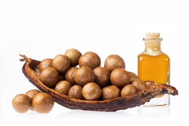 Macadamia integrifolia - Fındık ve macadamia yağı
