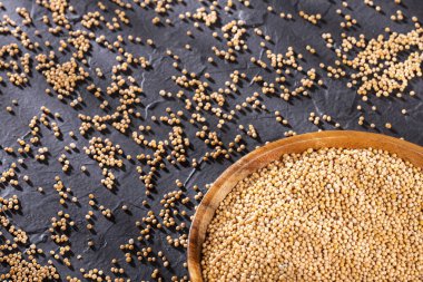 Hardal tohumu - Sinapis alba sarı