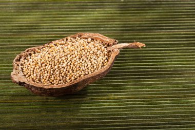 Organik hardal tohumları - Sinapis alba